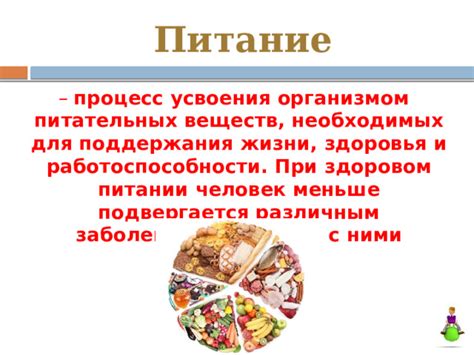 Тип образа жизни и предпочтения в питании