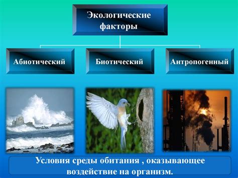 Экологические факторы и образ жизни