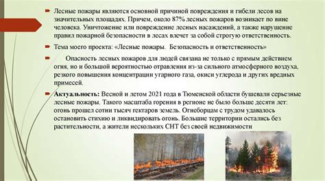 Безопасность и ответственность