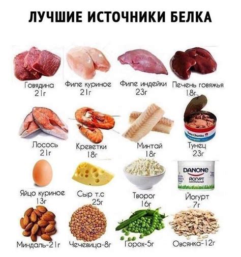 Богатство белком