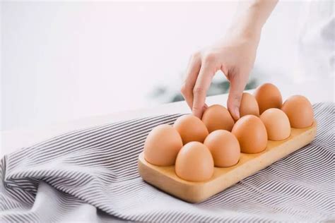 Влияние куриных яиц в помете на волшебство