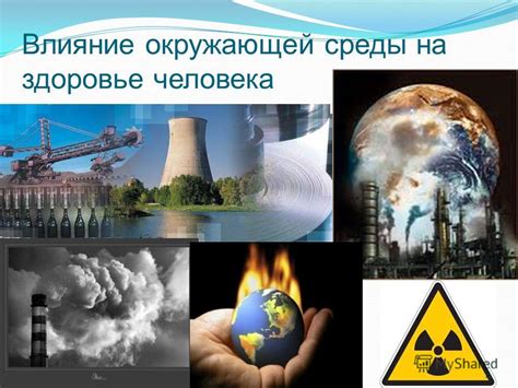 Влияние окружающей среды на ощущение жары
