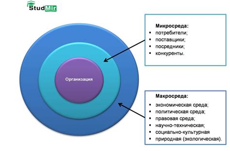 Внешняя среда и освещение