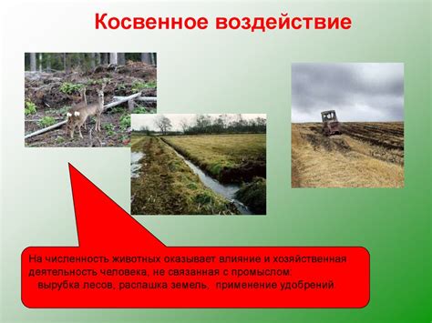 Воздействие на жизнь людей