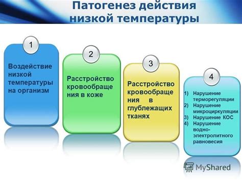 Воздействие низких температур на молекулярную структуру