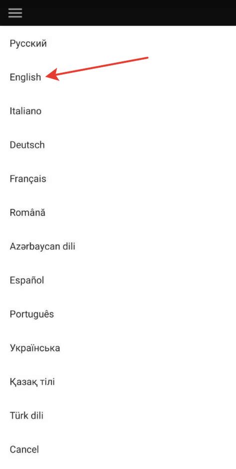 Выбор языка приложения