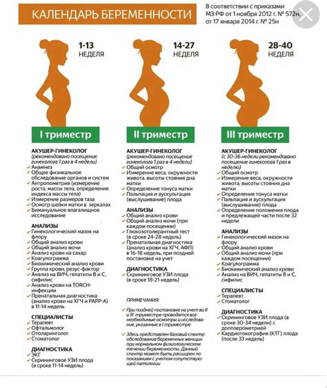 Двойка в триместре: дополнительная нагрузка и последствия