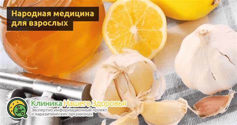 Действенные рецепты для избавления от остриц в домашних условиях
