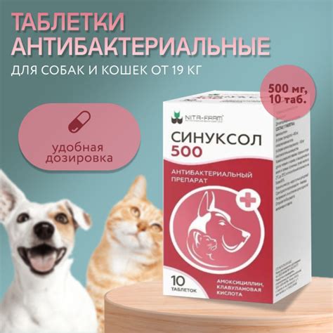 Другие варианты лечения для собак