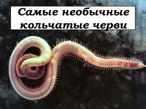 Если снились черви: необычные толкования
