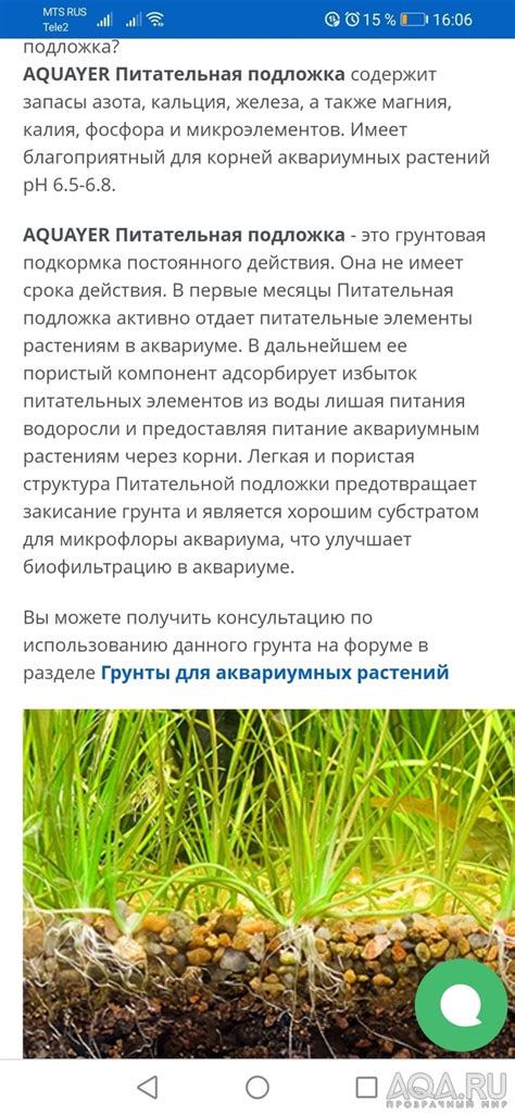 Зачем нужно добавлять йод в аквариум: