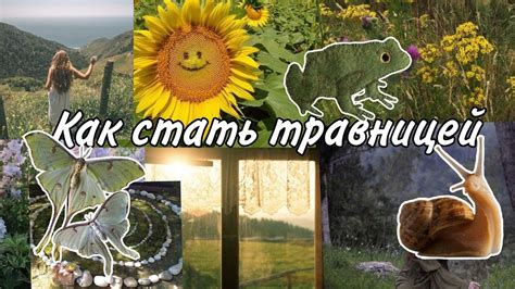 Зачем стать травницей: преимущества и возможности