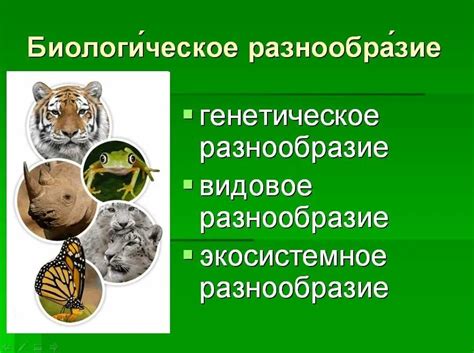 Изменение биологического разнообразия