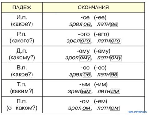 Имена прилагательные: особенности и правила использования