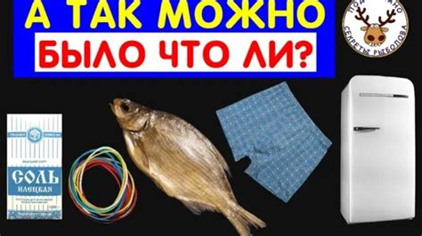 Интерпретация сна: много рыбы в холодильнике