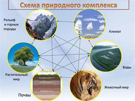 Использование природных увлажняющих компонентов