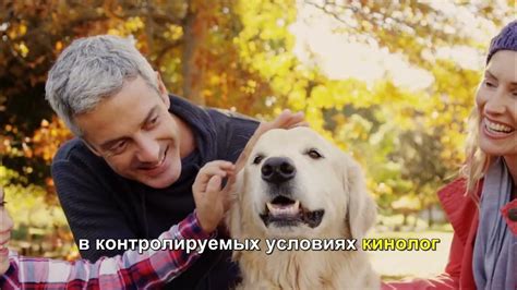 Как правильно обучить собаку с именем "Тайсон"