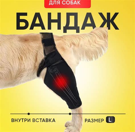 Как приложить повязку на лапу собаки безопасным способом