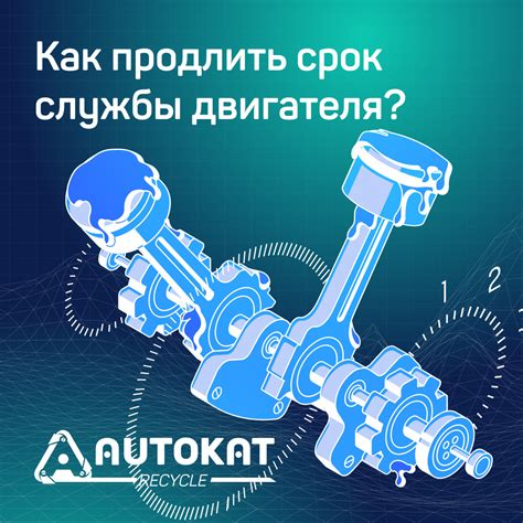 Как продлить срок службы четок после ремонта