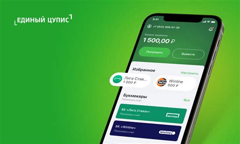 Как установить Цупис на iPhone: шаги установки