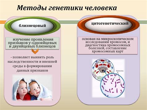 Методы генеалогического исследования