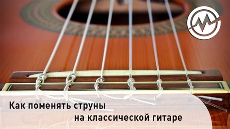 Настройка струн харпики