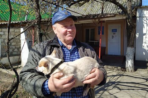 Ненадлежащая привязка животного