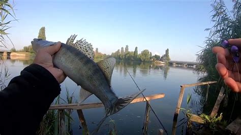 Обязательные правила при вытаскивании судака из воды