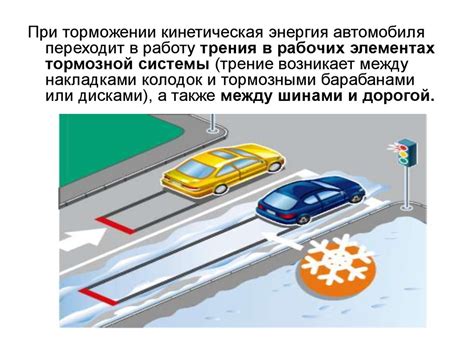 Опасность для синицы и водителя