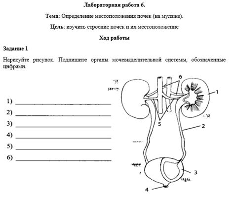 Определение местоположения