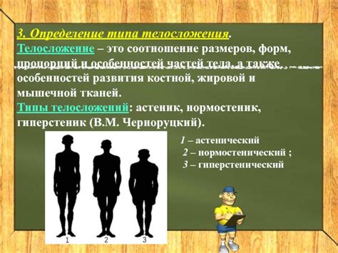 Определение основных форм и пропорций