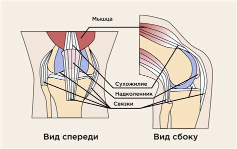 Ослабление мышц и связок