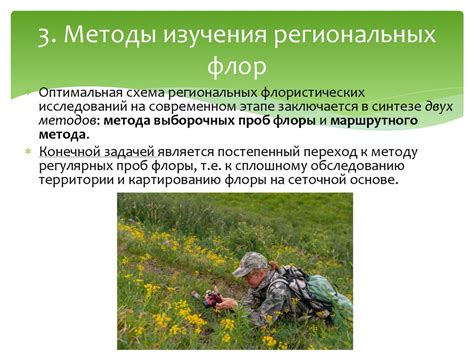 Основные методы сбора сморчков