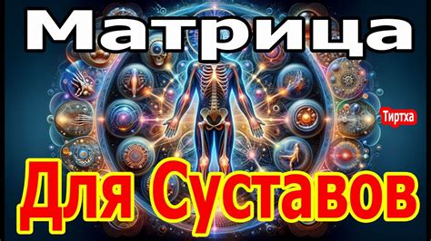 Отзывы о матрицах Гаряева