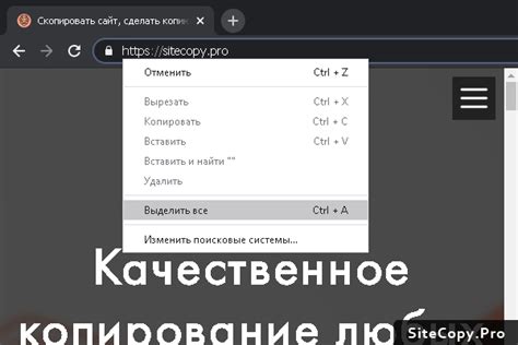 Откройте адресную строку браузера и вставьте скопированную ссылку