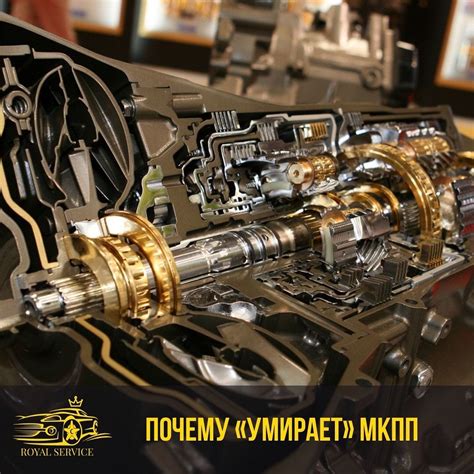 Отсутствие масла: основной фактор проблемы