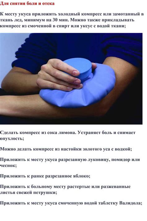 Первая помощь при укусе человека на шее