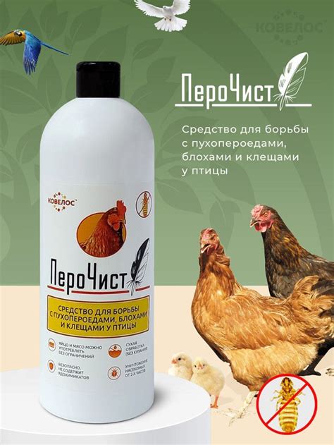 Подбор эффективных средств для борьбы с блохами