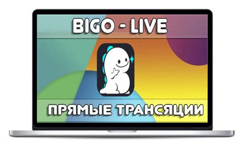 Подготовка компьютера к работе с Биго Лайф