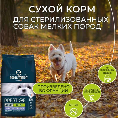 Поддержание и уход за сухожаровым шкафом