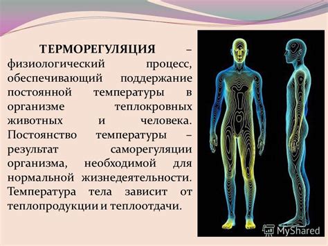 Поддержание постоянной температуры