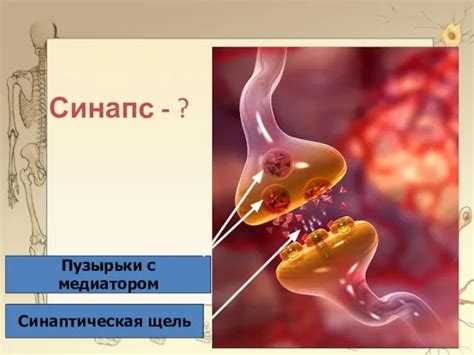 Поддержка работы нервной системы