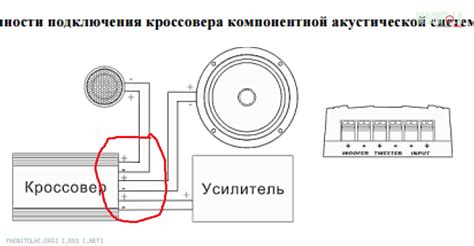 Подключение проводки к динамикам