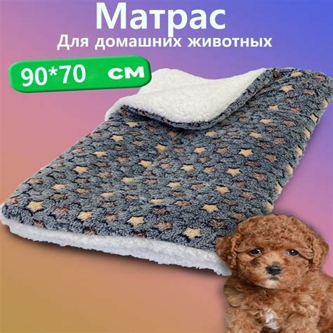 Подстилка для собаки: создайте уютное место для сна и отдыха