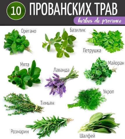 Полезные растения при ангиоме