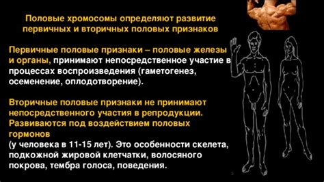 Половые признаки