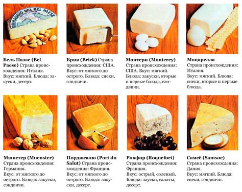 Популярные сыры, в которых используют ароматообразующие закваски