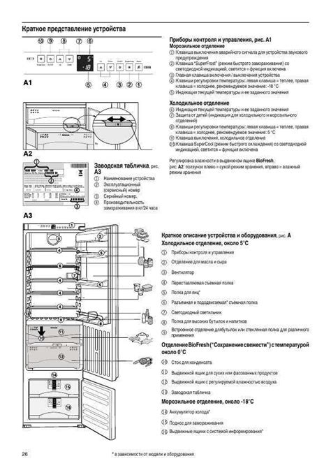 Пошаговая инструкция по включению морозильной камеры после разморозки