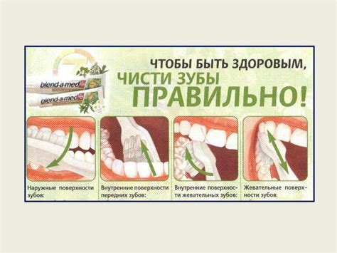 Правильное питание и уход за полостью рта