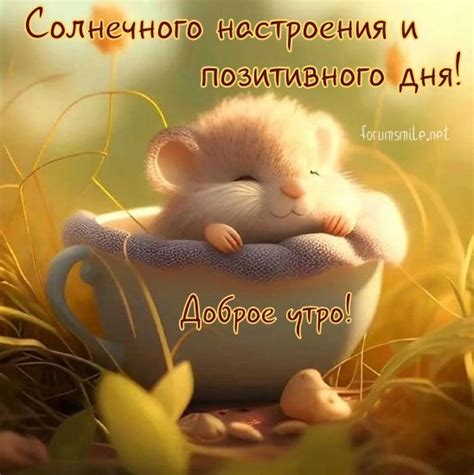 Практические шаги для сохранения позитивного настроения